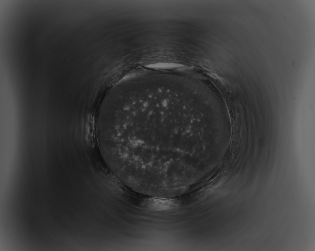 X0000095670528200801291139