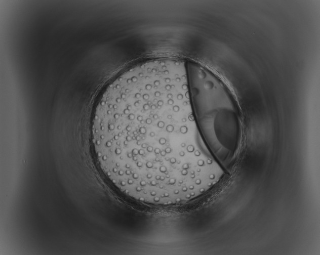 X0000095670529200801291139