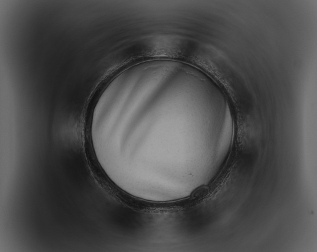 X0000095670530200801291139