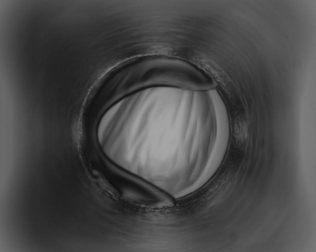 X0000095670532200801291139