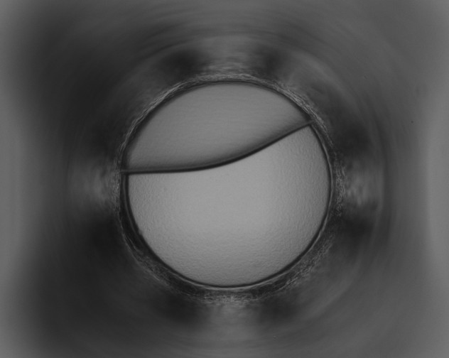 X0000095670533200801291139