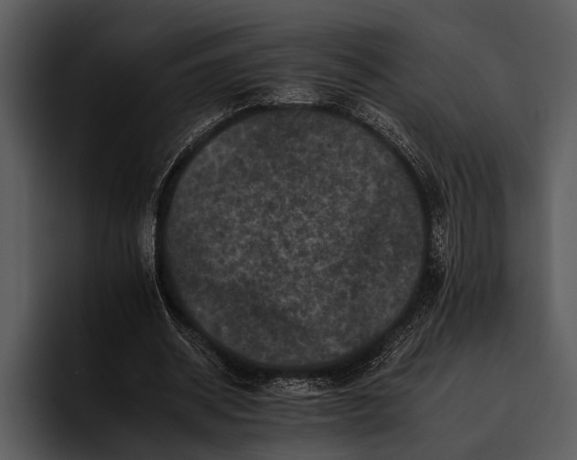 X0000095670534200801291139