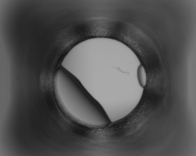 X0000095670538200801291139