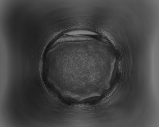 X0000095670540200801291139