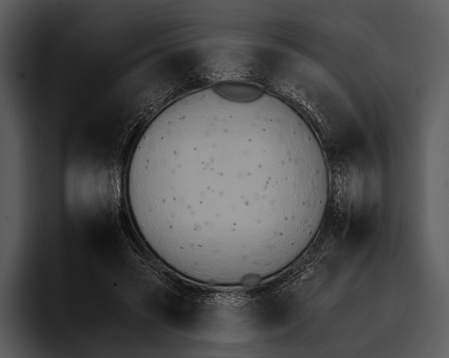 X0000095670541200801291139