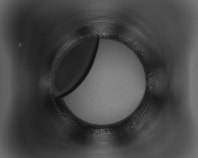 X0000095670544200801291139