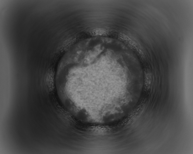 X0000095670545200801291139