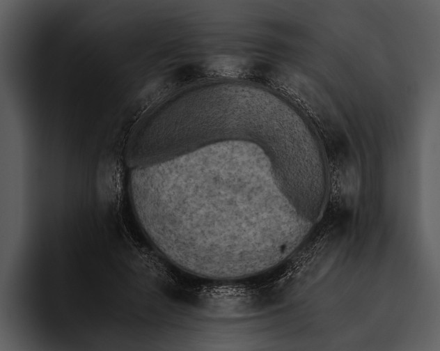 X0000095670546200801291139