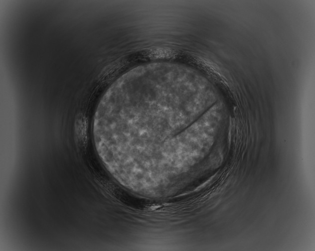 X0000095670550200801291139