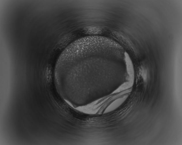 X0000095670551200801291139