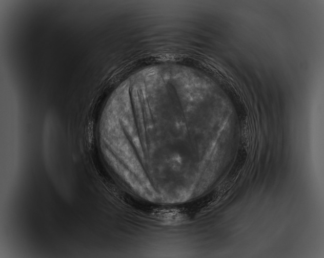 X0000095670554200801291139