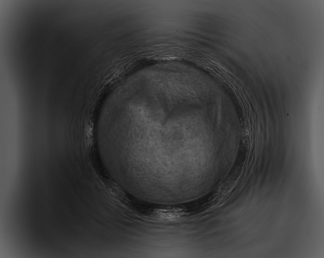 X0000095670556200801291139