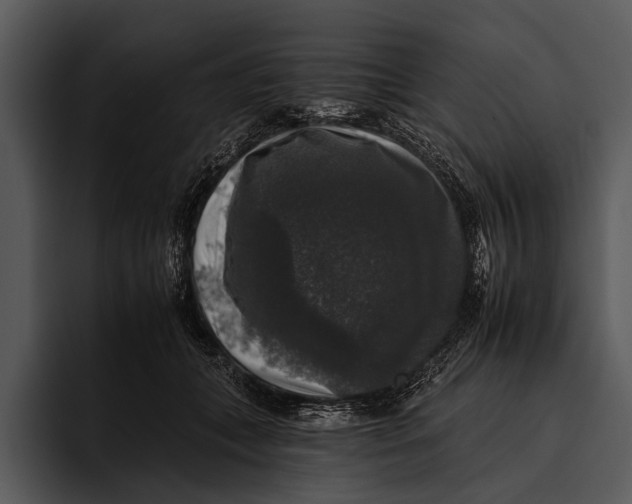 X0000095670559200801291139