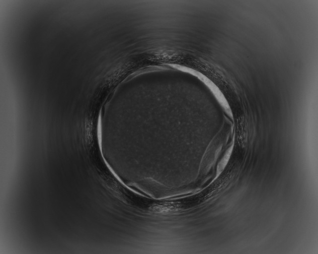 X0000095670563200801291139