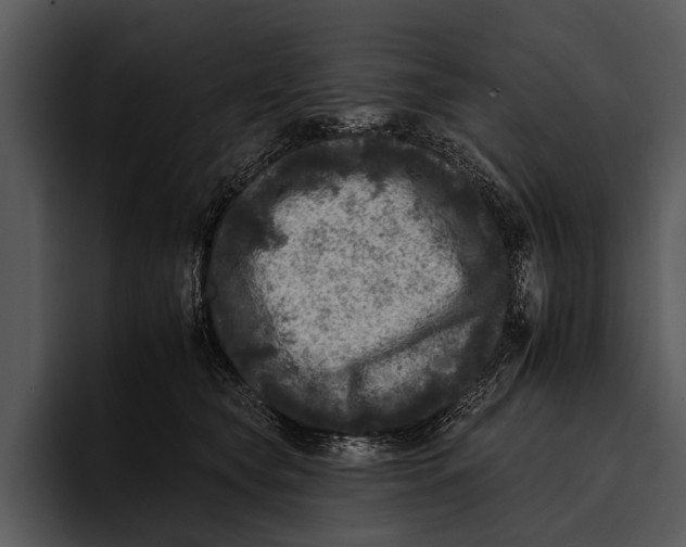 X0000095670565200801291139