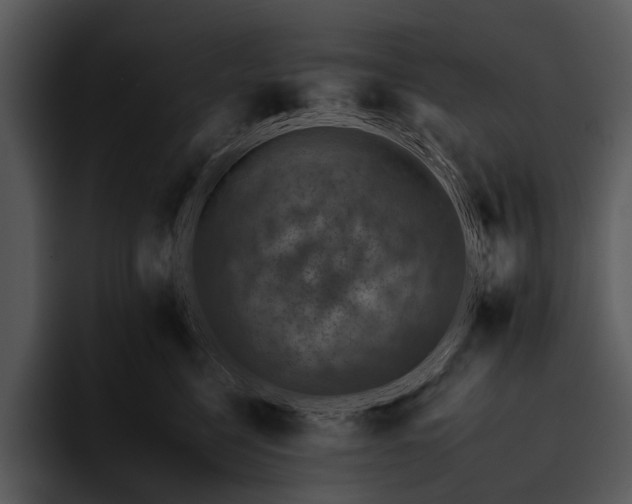 X0000095670568200801291139