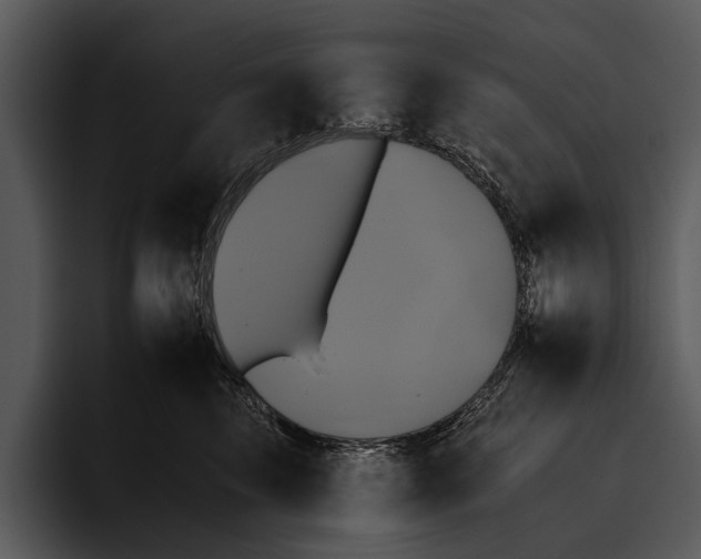 X0000095670569200801291139