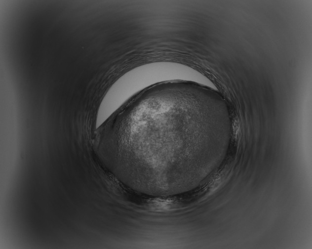 X0000095670570200801291139