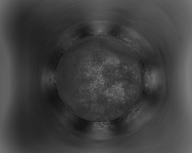 X0000095670571200801291139