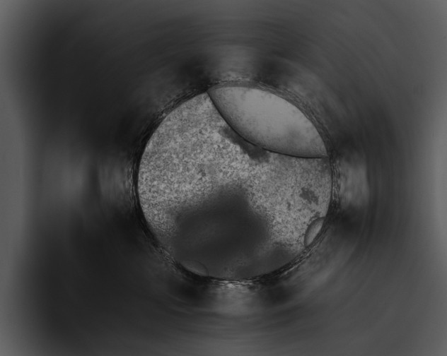 X0000095670573200801291139