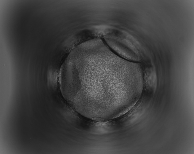 X0000095670574200801291139