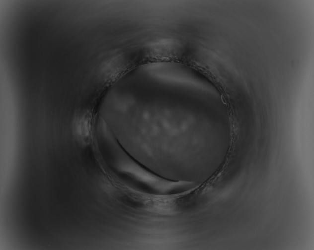 X0000095670576200801291139