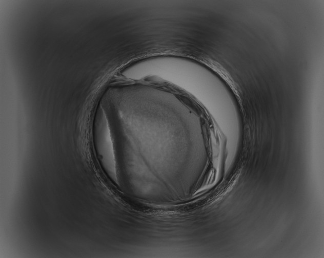 X0000095670577200801291139