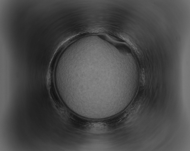 X0000095670583200801291138