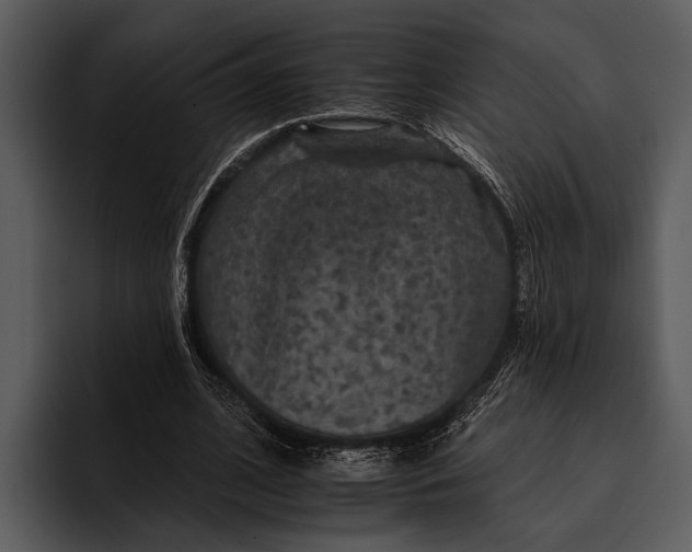 X0000095670584200801291138