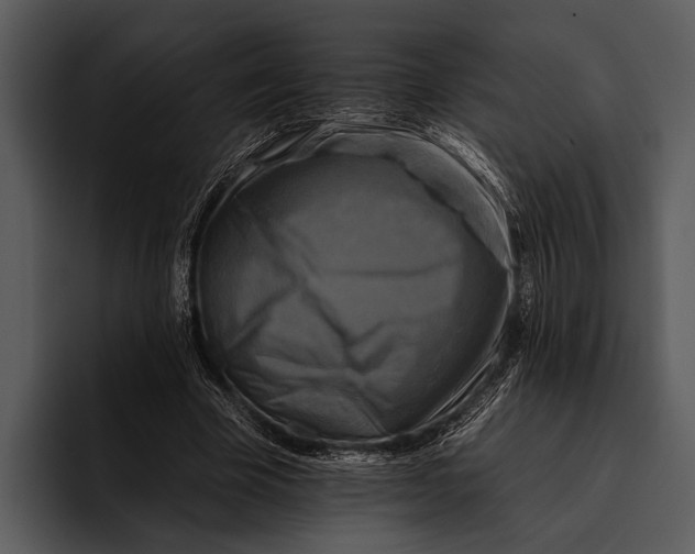 X0000095670585200801291138