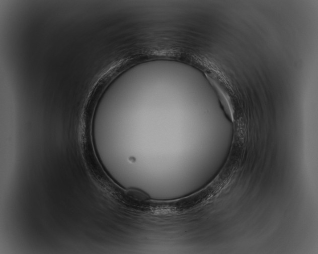 X0000095670587200801291138