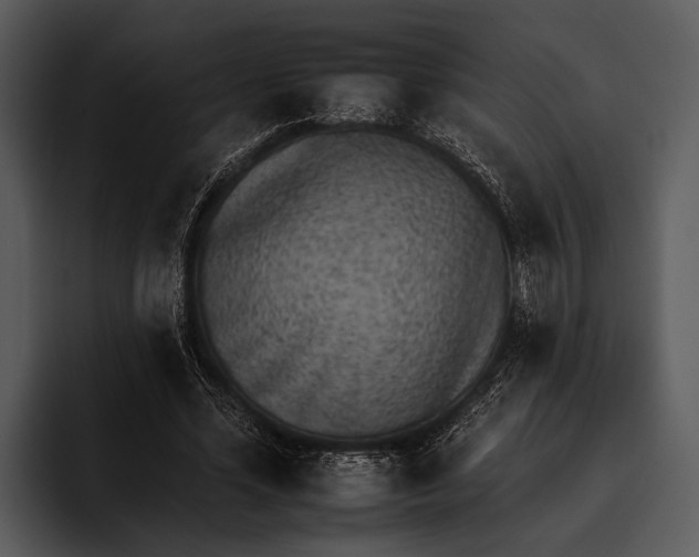 X0000095670588200801291138