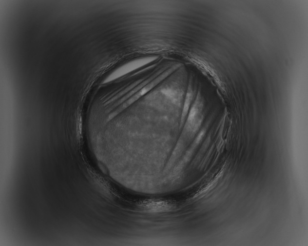 X0000095670589200801291138