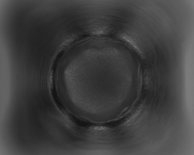 X0000095670590200801291138