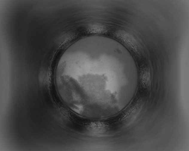 X0000095670591200801291138