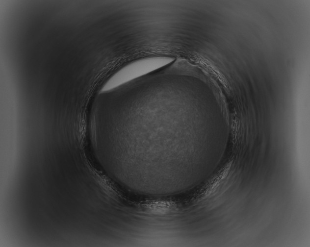 X0000095670593200801291138