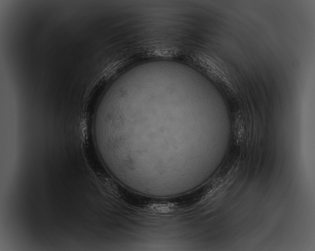 X0000095670595200801291138