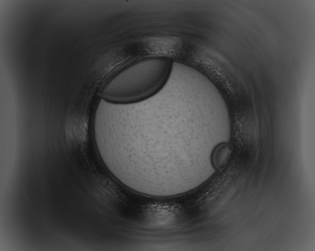 X0000095670596200801291138