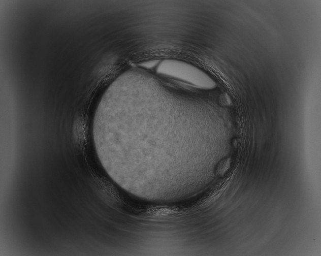 X0000095670597200801291138