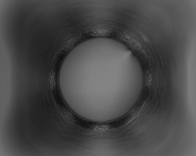 X0000095670599200801291138