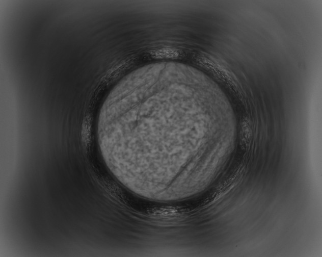 X0000095670600200801291138