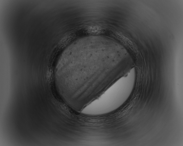 X0000095670601200801291138