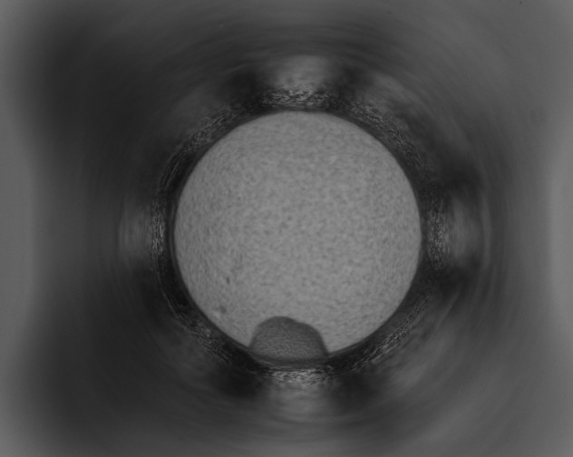 X0000095670602200801291138