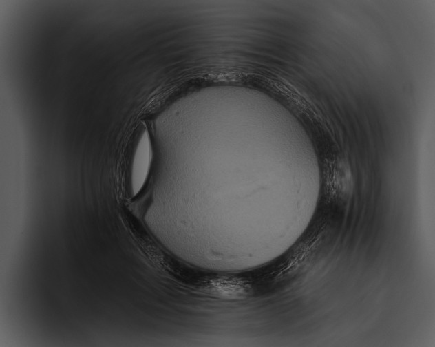 X0000095670603200801291138