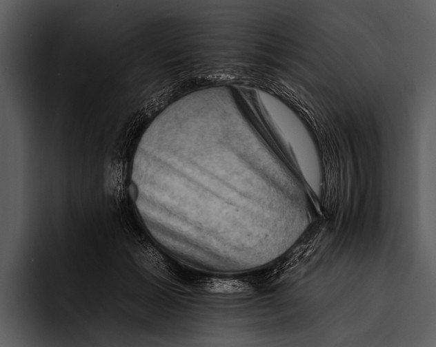 X0000095670605200801291138