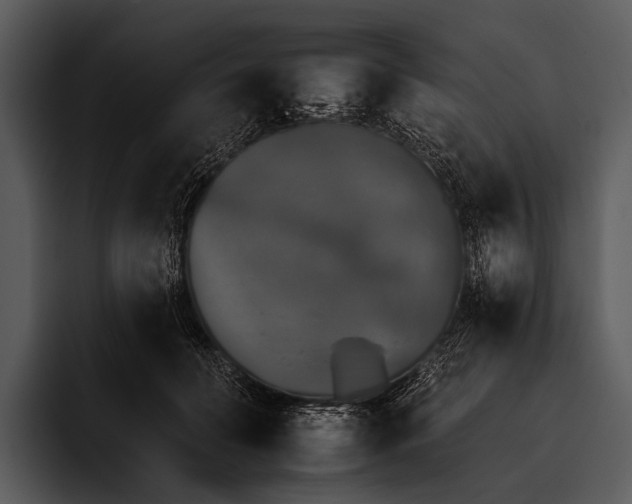 X0000095670606200801291138