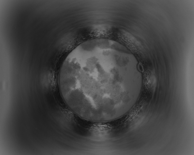 X0000095670607200801291138