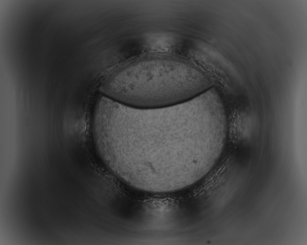 X0000095670608200801291138