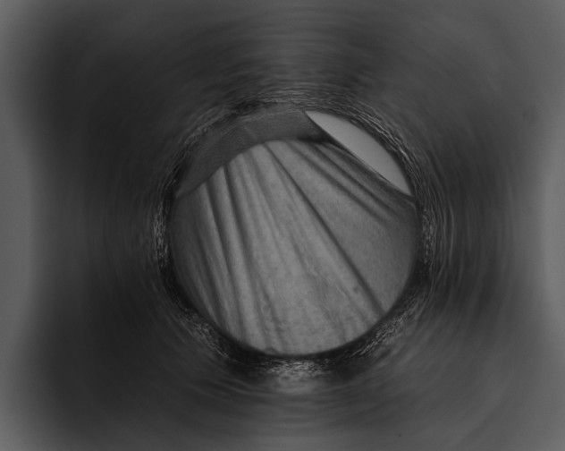 X0000095670609200801291138