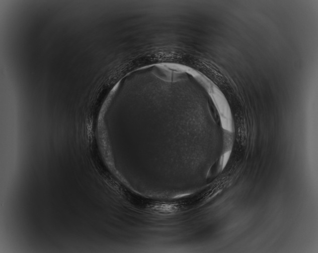 X0000095670610200801291138